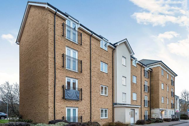 1 bed flat