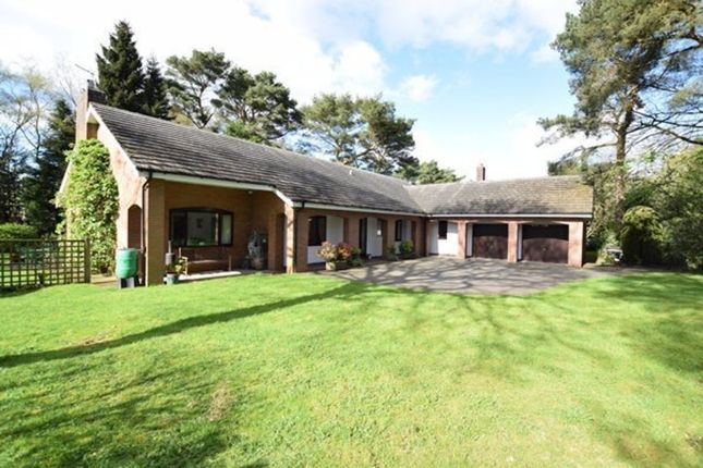 Heath Top, Ashley Heath, Market... 4 bed detached bungalow for sale