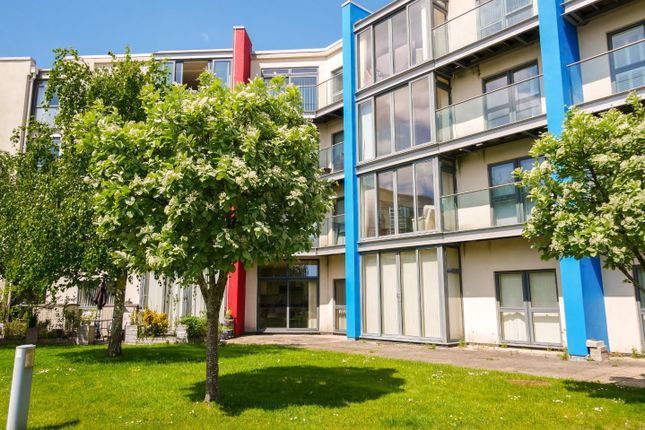 1 bed flat