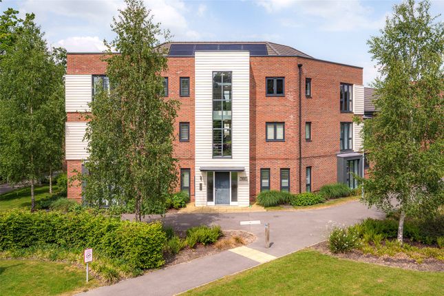 1 bed flat