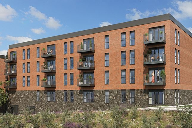 1 bed flat