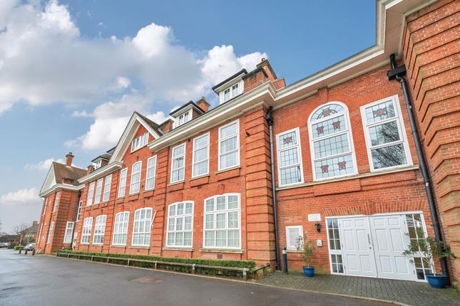 1 bed flat