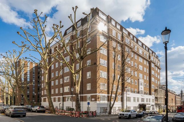 1 bed flat