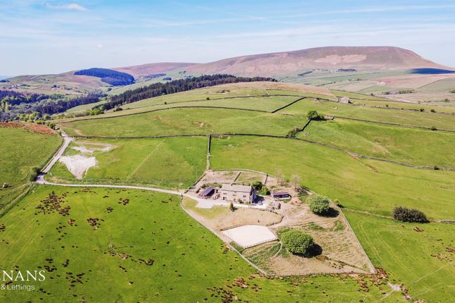 4 bed equestrian