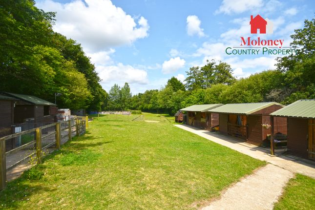 Equestrian property for sale