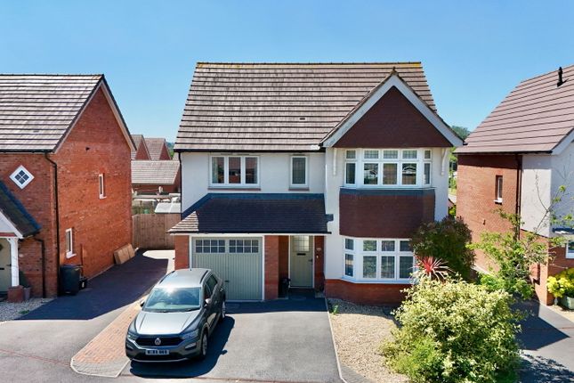 Robin Way, Newton Abbot TQ12 4 bed detached house for sale