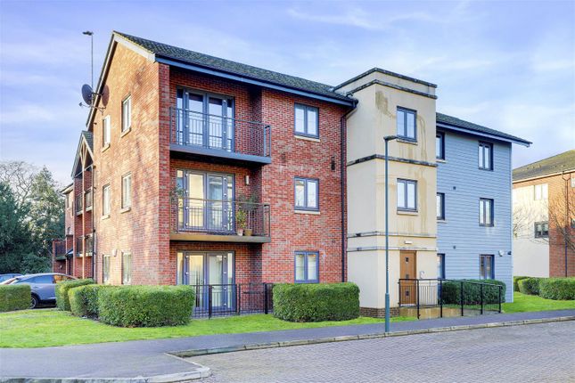 1 bed flat