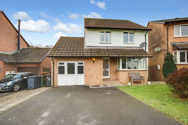 Larkspur Gardens, Barnstaple EX32 3 bed detached house for sale