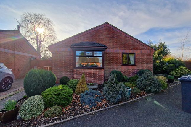 2 bed bungalow