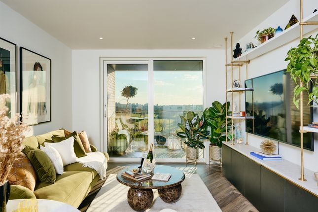 1 bed flat