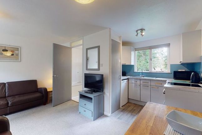 3 bed semi-detached house