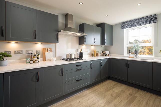 Alder at Spitfire Green New Haine... 3 bed semi