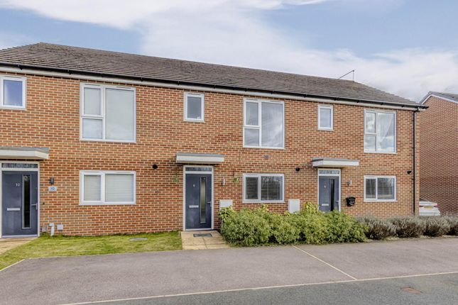 3 bed town house