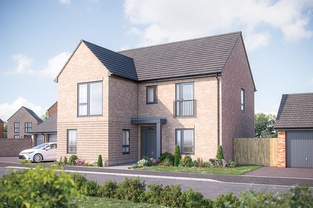 Plot 104, The Sydney at Walstead... 5 bed detached house for sale