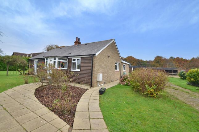 Bowl Road, Charing TN27 4 bed equestrian property for sale