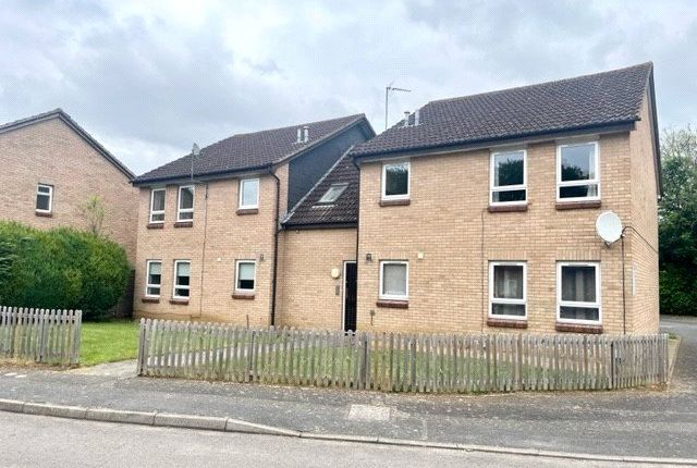 1 bed flat
