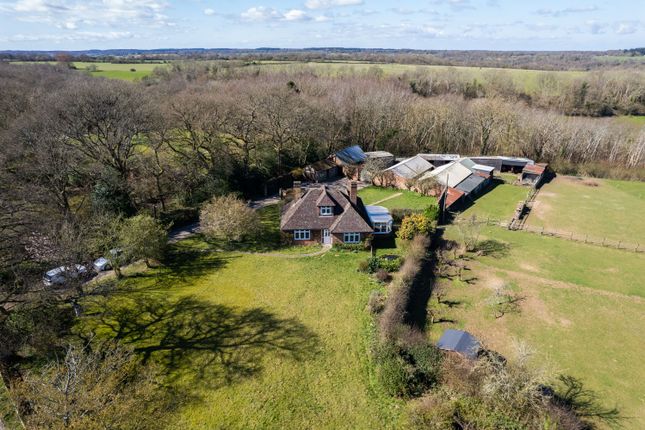 Equestrian facility for sale