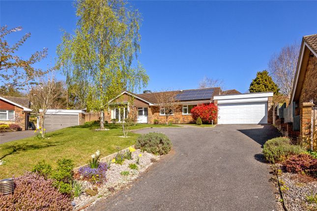 3 bed bungalow