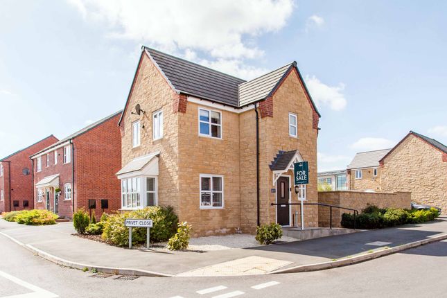 Foxglove Close, Bolsover, S44 3 bed detached house for sale