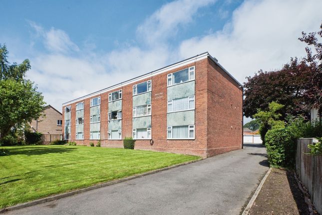 1 bed flat