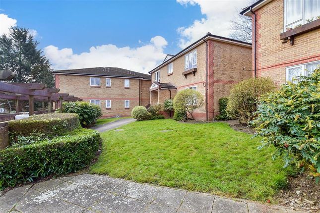 1 bed flat