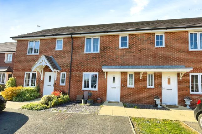 3 bed terraced house