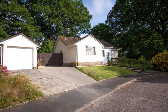 2 bed bungalow