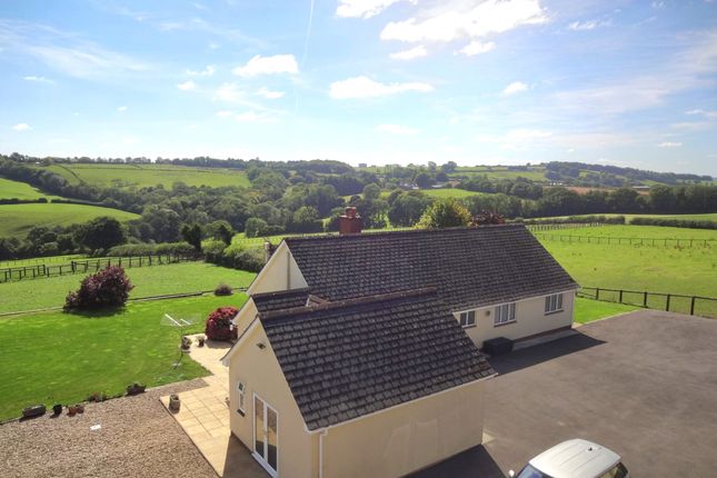 4 bed equestrian