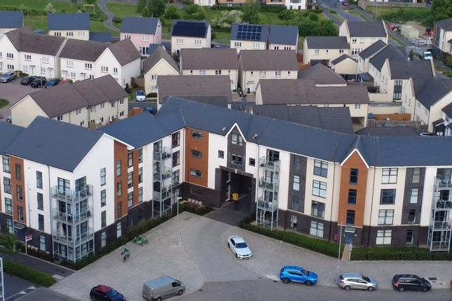 1 bed flat