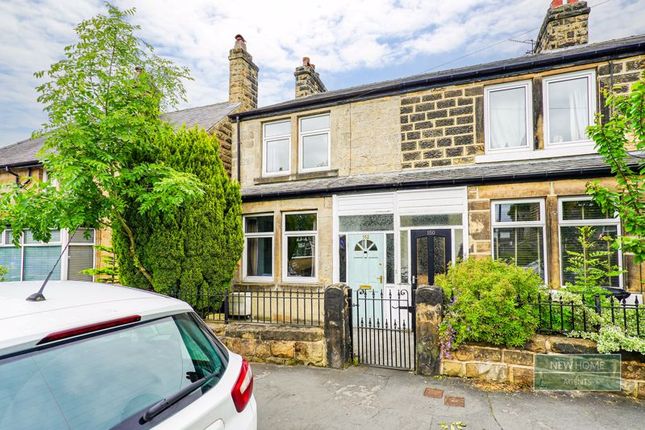 3 bed terraced house