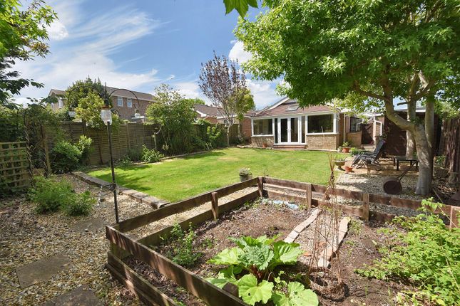 Robinson Heights, Stalbridge 2 bed detached bungalow for sale
