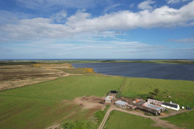 Tannach, Wick, Caithness Farm land for sale