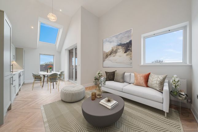 1 bed flat