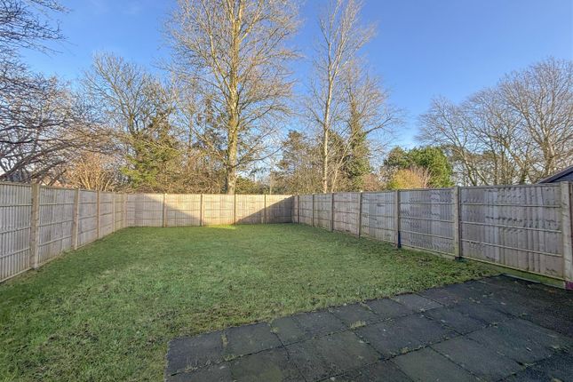3 bed semi-detached house