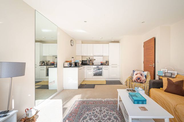 1 bed flat