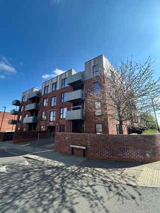 1 bed flat