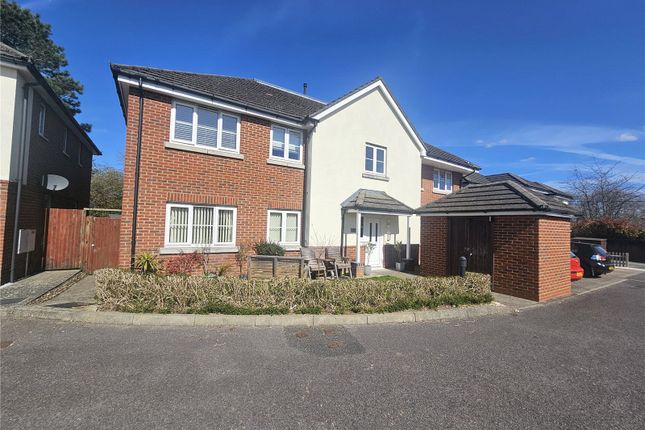1 bed flat
