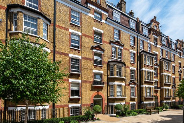 1 bed flat