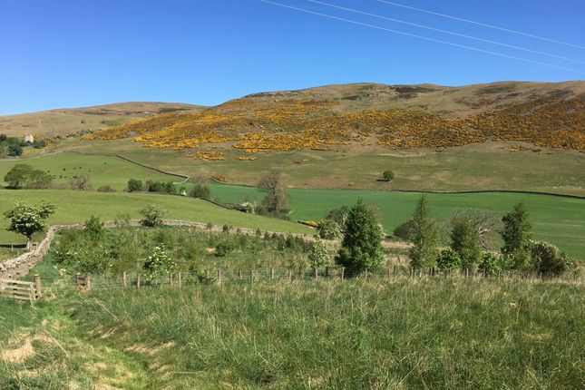 Paddocks, Townhead, Ettrickbridge, TD7 Land for sale