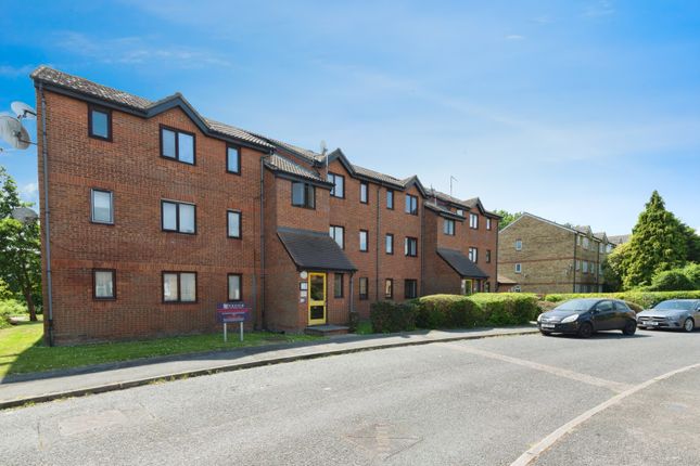 1 bed flat