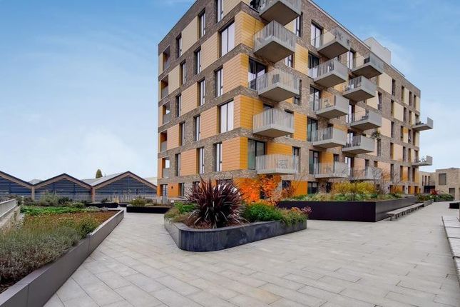 1 bed flat