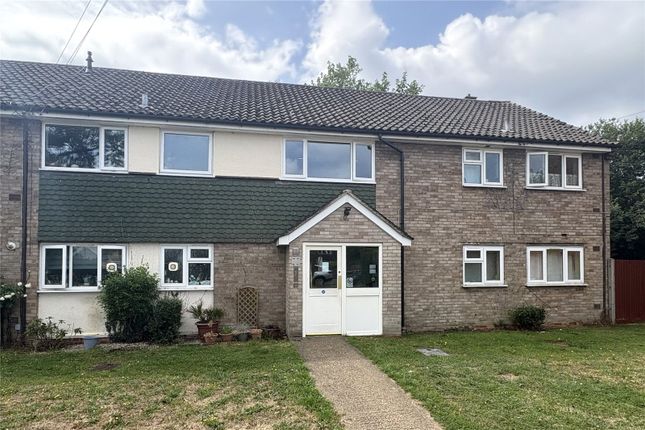 1 bed flat