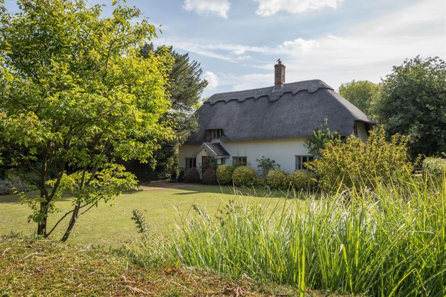 Ivydene, Lindsey, Suffolk 4 bed detached house for sale