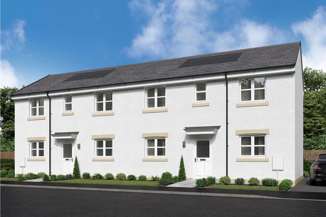 Plot 65, Carlton Semi Thornly Park at... 3 bed semi