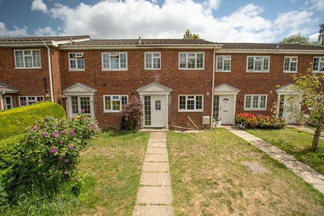 3 bed terraced house
