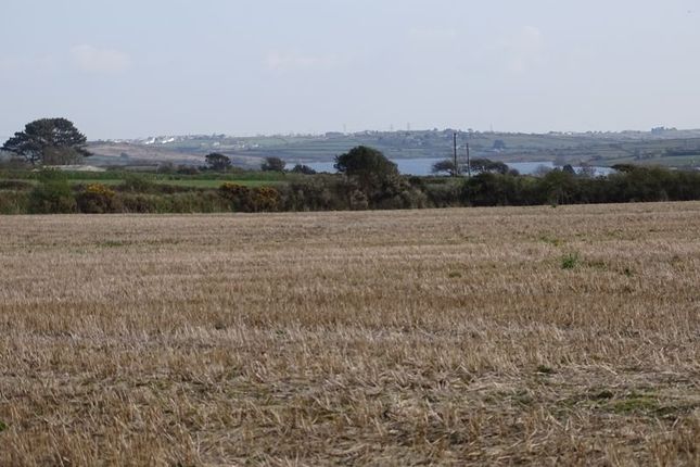 Penhalvean, Redruth Land for sale