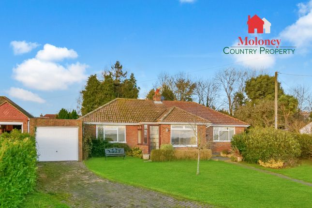 Rural Northiam, East Sussex TN31 3 bed detached bungalow for sale