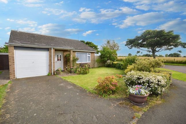 2 bed bungalow