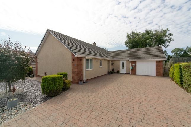 3 bed detached bungalow