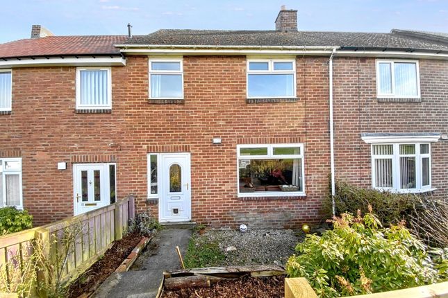 Penshaw Gardens, Stanley DH9 3 bed terraced house for sale